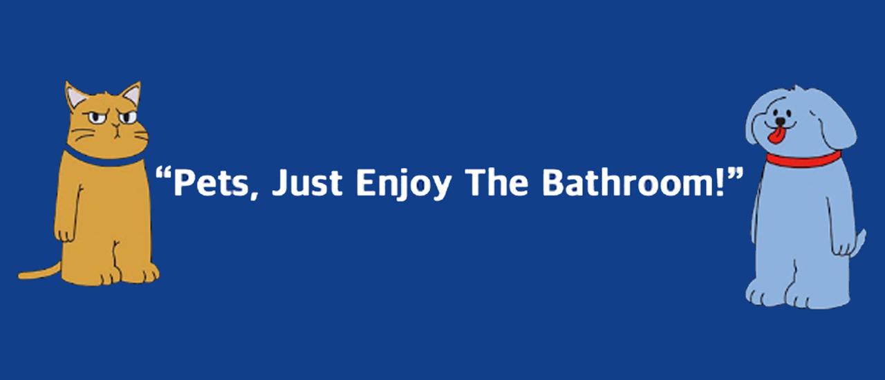 [pethroom X Dongwon] Alex Tuna & Eric Chicken (10 Pack) Cat Canned Snacks Large Capacity